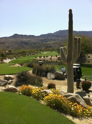 Golf course Palm Springs