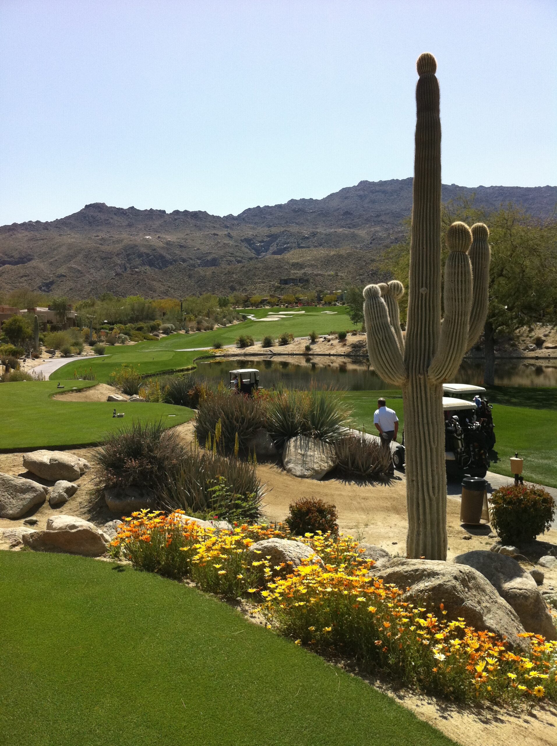 Golf course Palm Springs
