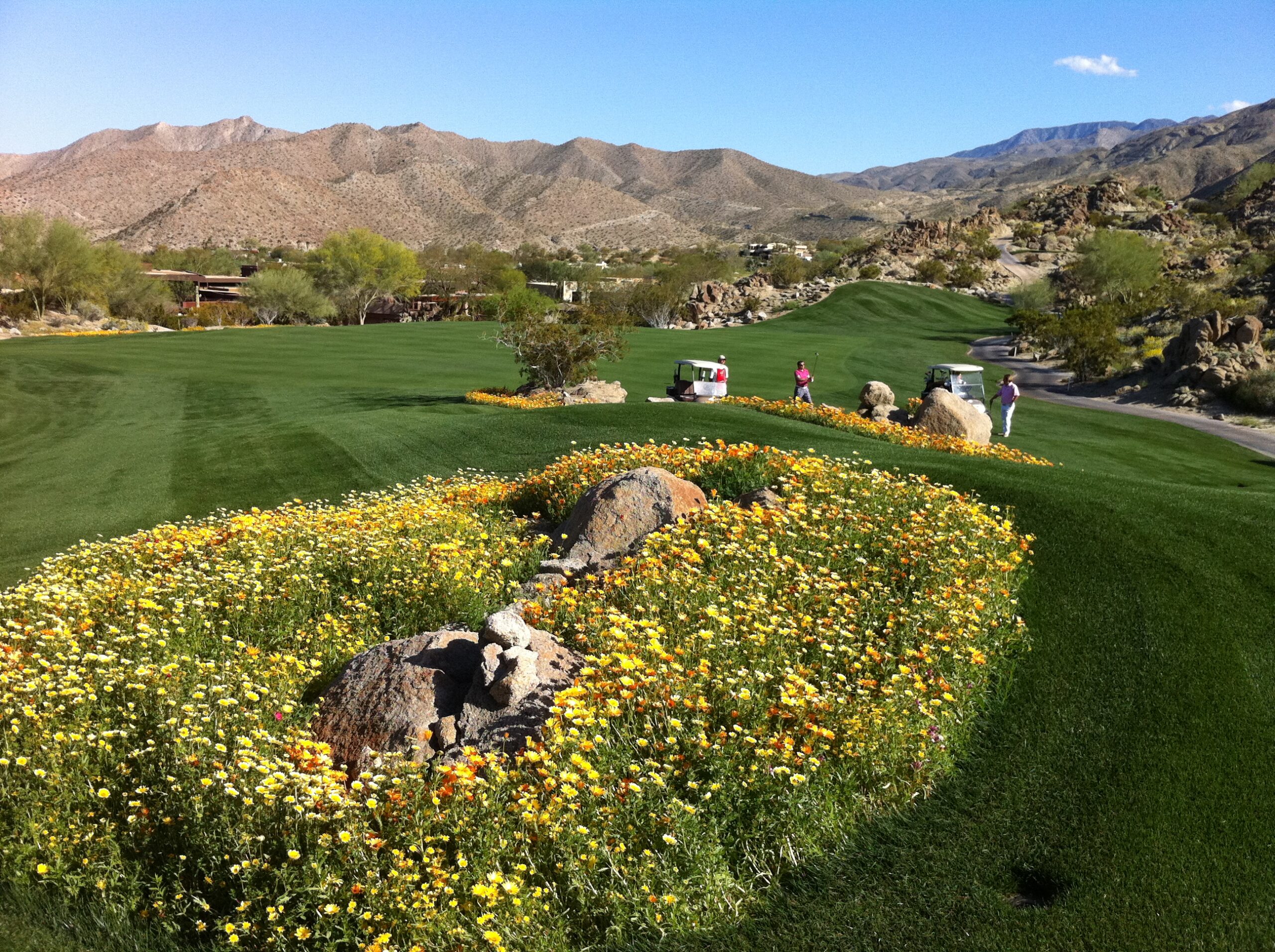 Golf course Palm Springs